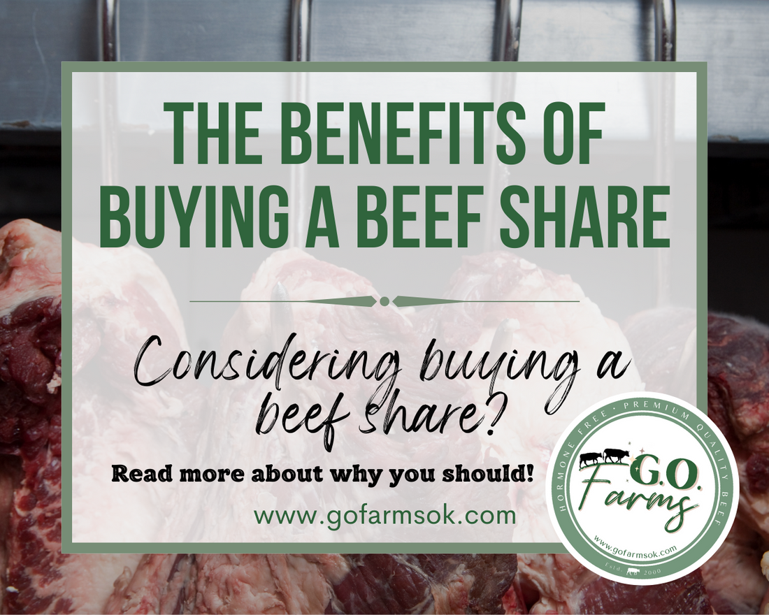 THE BENEFITS OF BUYING A BEEF SHARE