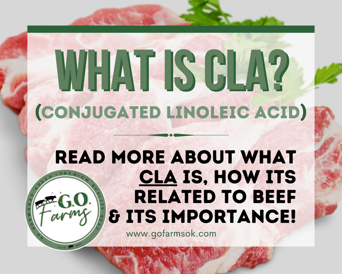 WHAT IS CLA?