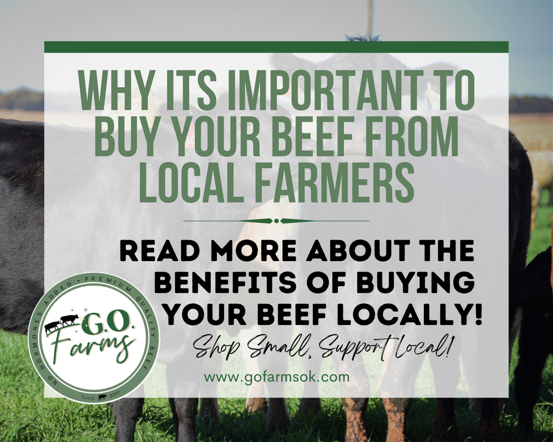 WHY IT IS IMPORTANT TO BUY BEEF FROM YOUR LOCAL FARMER