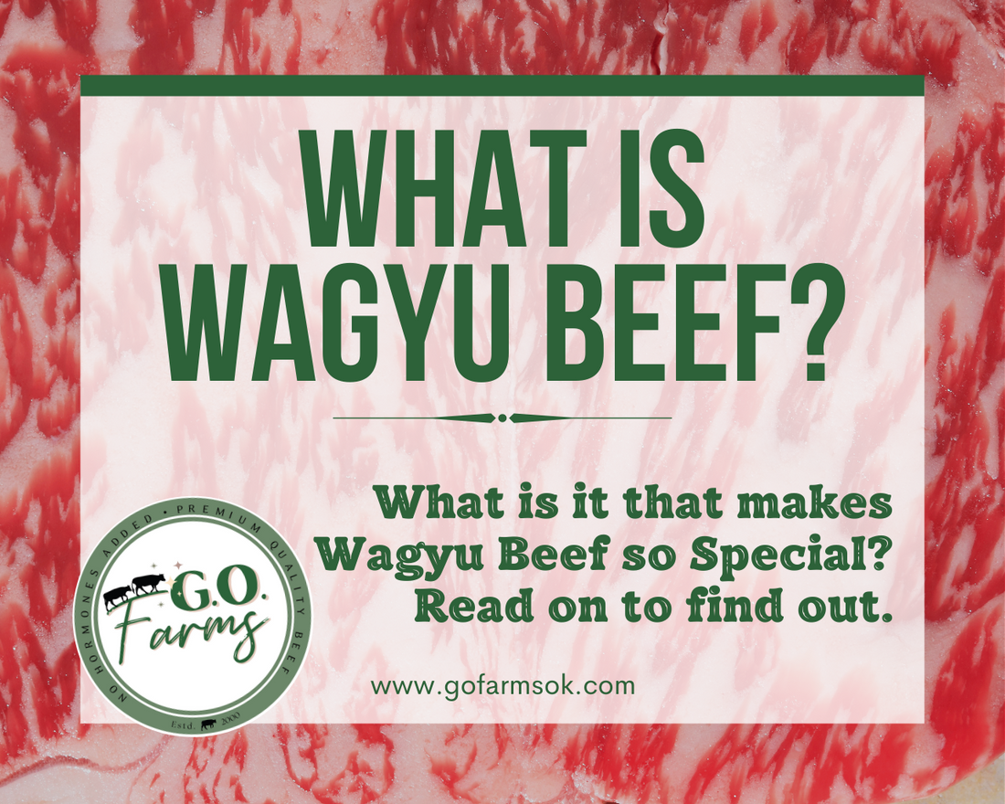 WHAT IS WAGYU BEEF & WHY IS IT SPECIAL?